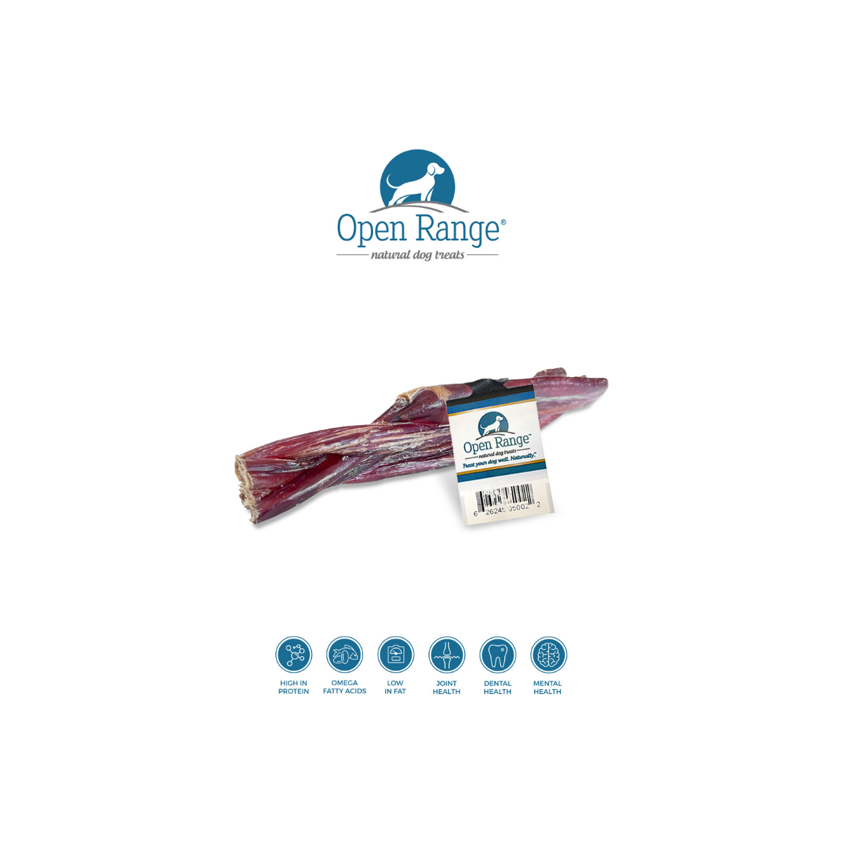 Beef Chomper Braid (Esophagus)