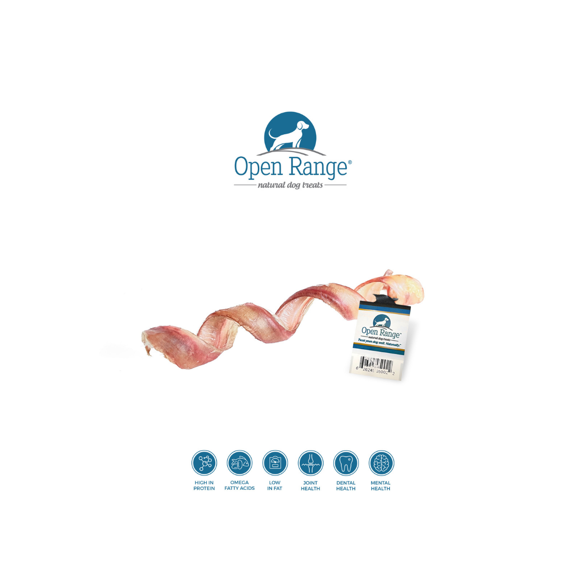 Bully springs dog chews best sale