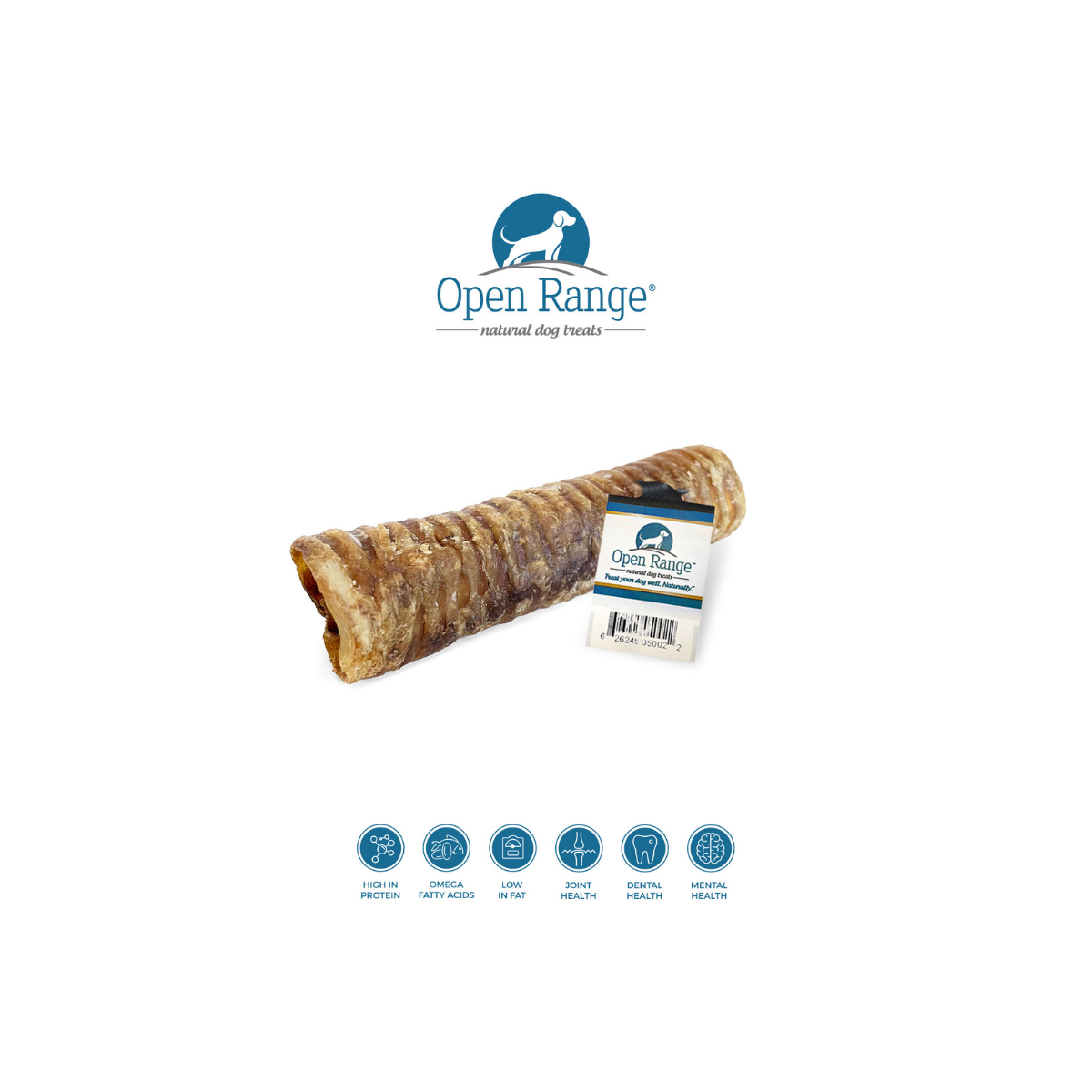 Beef trachea dog chews safe outlet