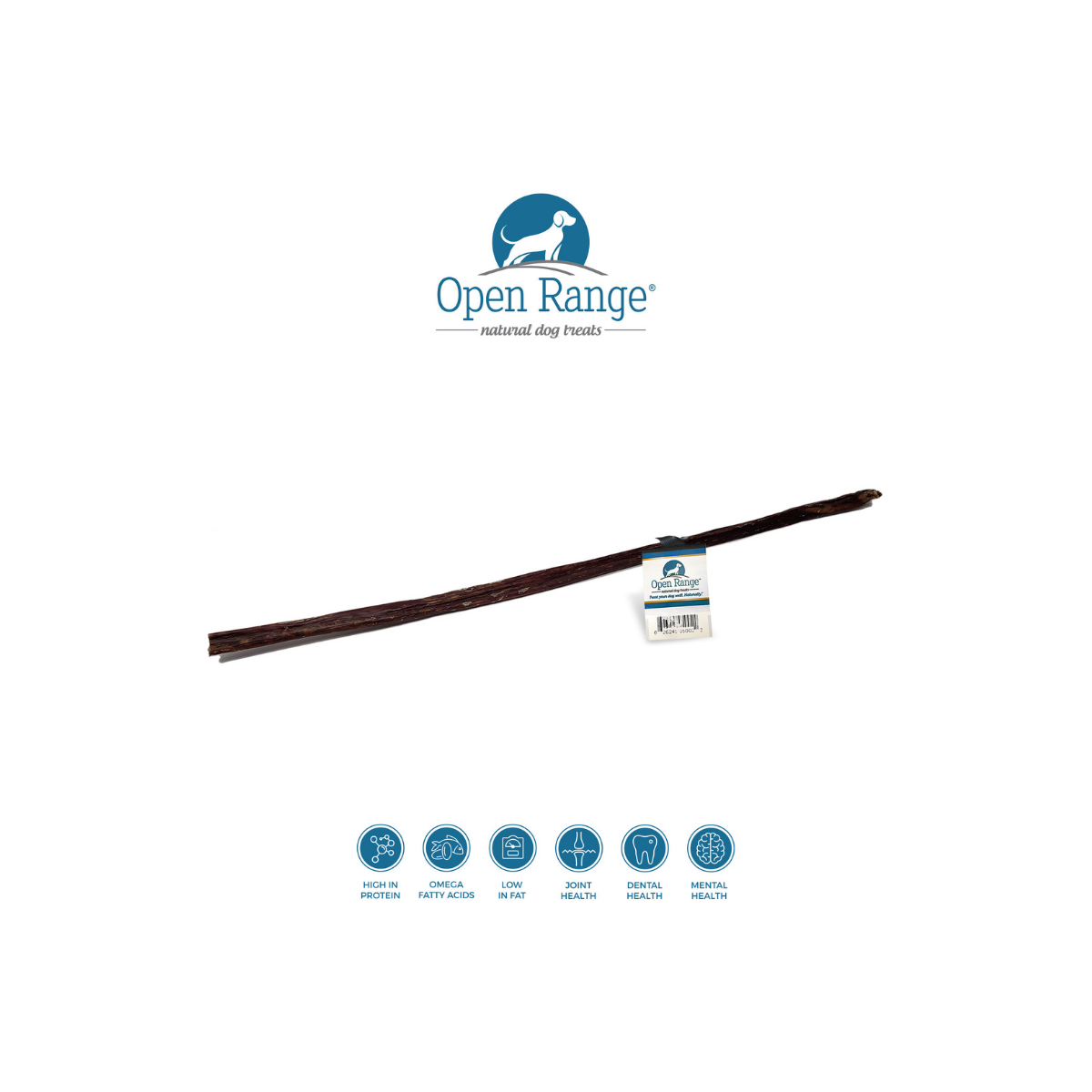 Full Length Esophagus Stick 24