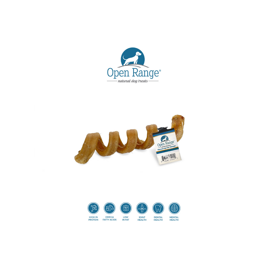 Water Buffalo Bully Spiral 6-7"