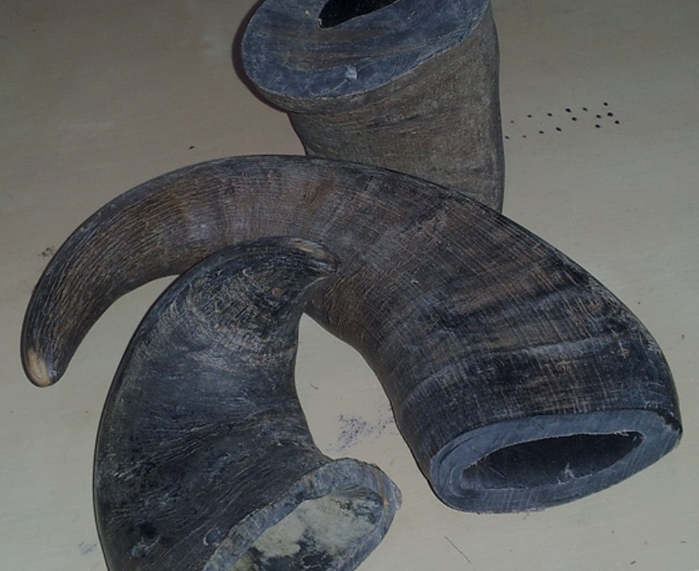 Bones and Horns