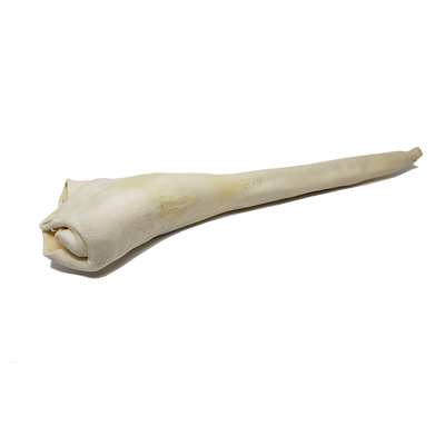 Full Length Bull Tail