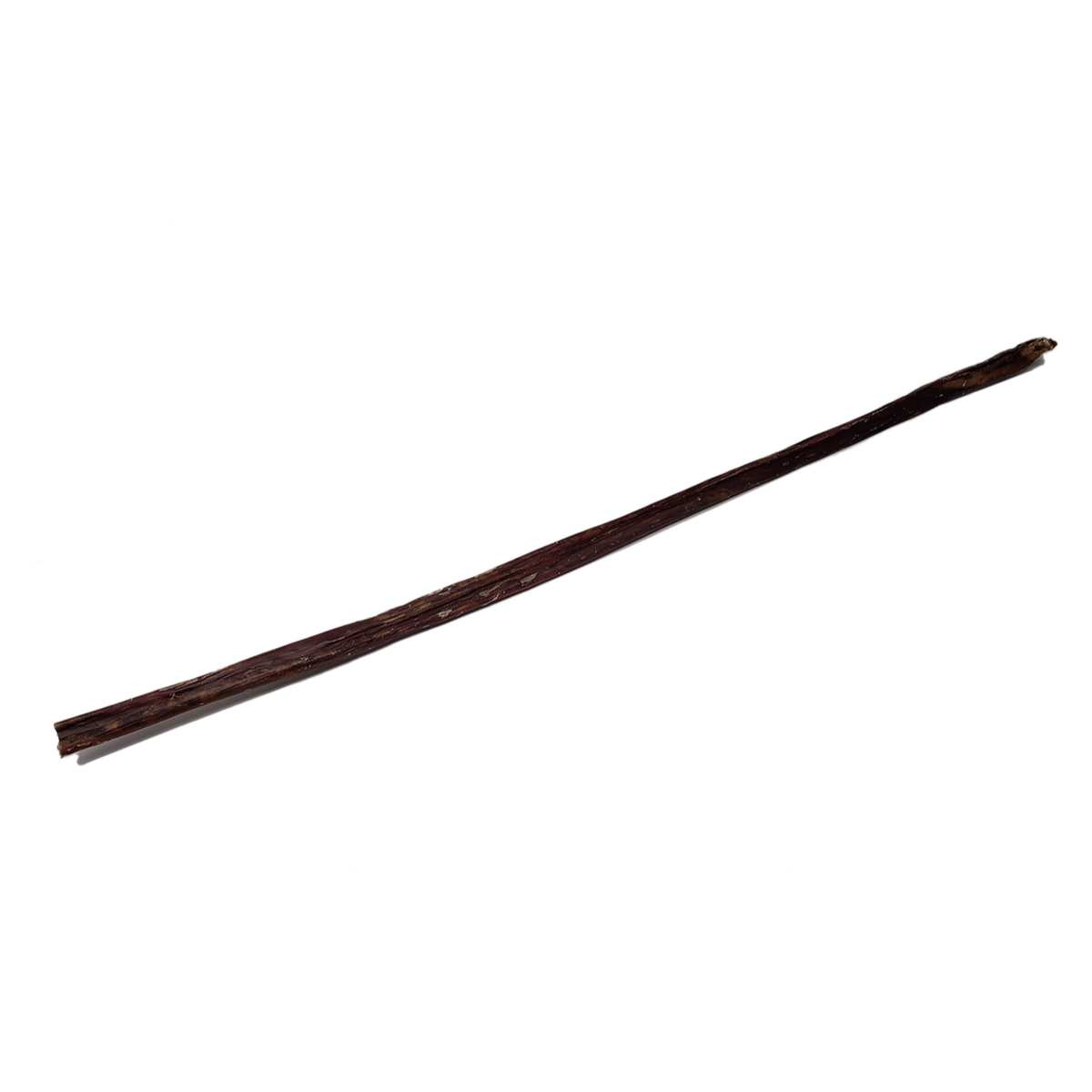 Full Length Esophagus Stick 24"+